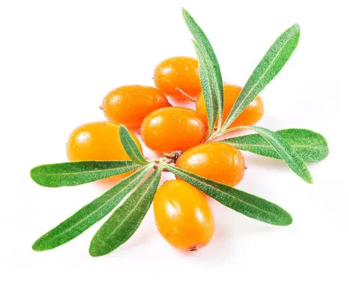 Kézműves Szörp 500ml