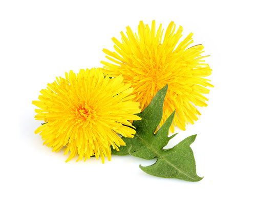 Kézműves Szörp 500ml